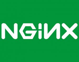 nginx-virtual-host