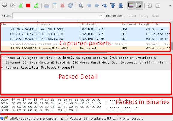 Packet Capturing