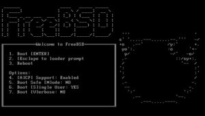 Потеря пакетов на FreeBSD больше 20%
