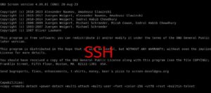 Как перенести уже запущенный процесс в screen и сохранить его при разрыве соединения